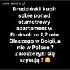 Taka sytuacja   