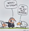Konflikt w Zjednoczonej Prawicy