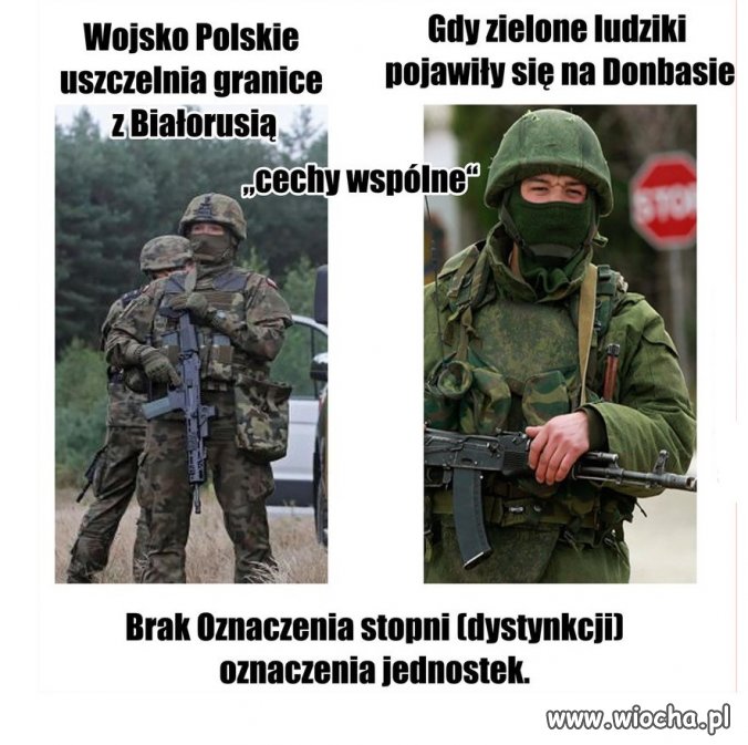 Kamuflaż i cechy wspólne.