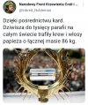 Tak się rozmnożył jak nieruchomości Obajtka. 