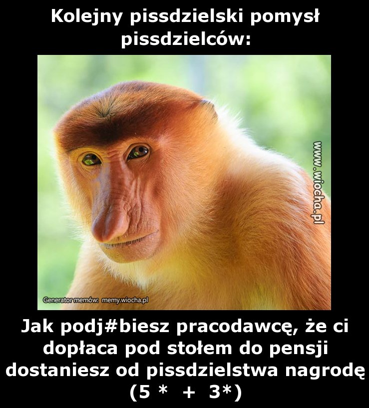 Kolejny pissdzielski pomysł pissdzielców: