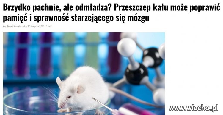 Z dedykacją dla TVPis i posła K.