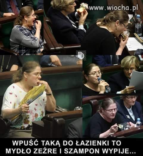 Cała krycha