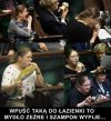 Cała krycha