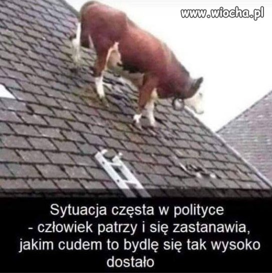 Coraz więcej pytan bez odpowiedzi w polskiej polityce...