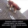 Coraz więcej pytan bez odpowiedzi w polskiej polityce...