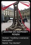 Jedyny skuteczny zestaw do naprawy rządu dojnej ..