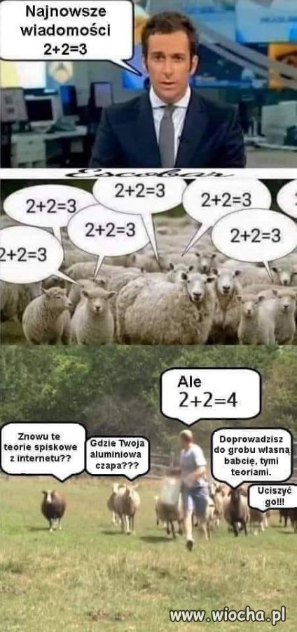 Tak działa kurwizja.