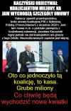 Powoli wyłania się prawda o koalicji PiS