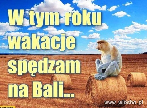Ekskluzywnie