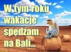 Ekskluzywnie