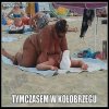 Usiłowanie zabójstwa???