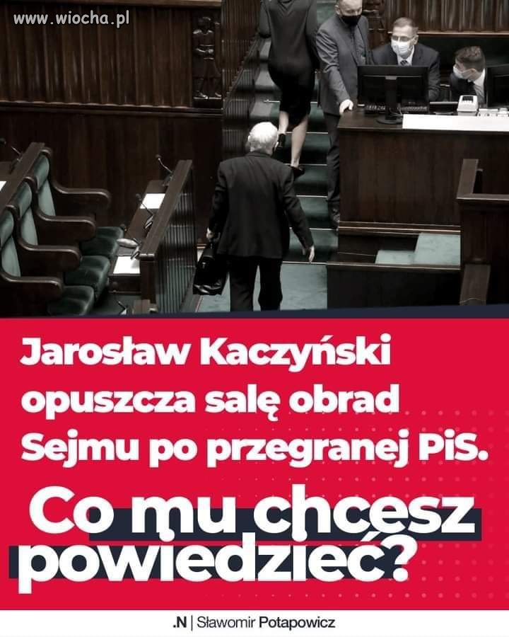 Tchórz 