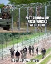 PIS wykorzysta każdą szansę