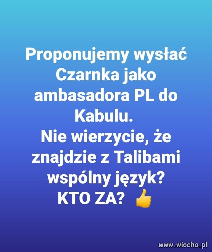 On by się z nimi dogadał ...