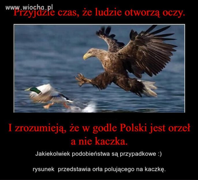 Dopiero po 6 latach Polakom otwierają się oczy...
