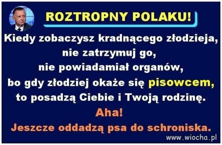 Dobrze powiedziane 