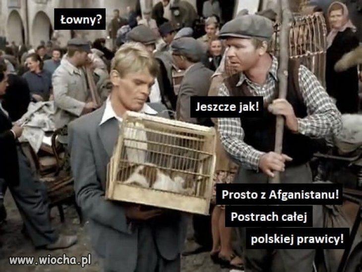 Prosto z Afganistanu 