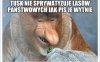 Pisowiec tłumaczy ustawę Lex Izera