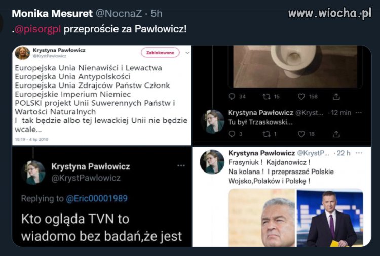 Przeproście za Pawłowicz!