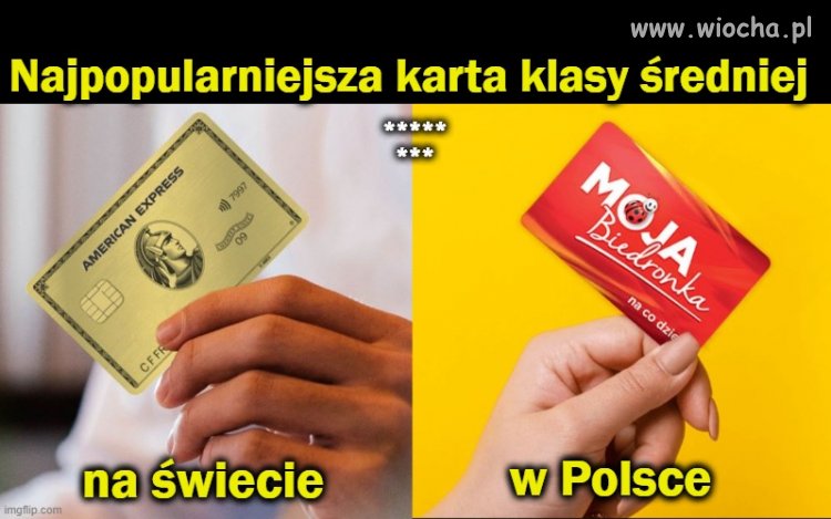 Co wyróżnia