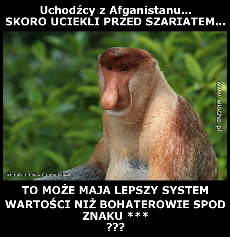 Uchodźcy z Afganistanu...