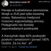 No właśnie 