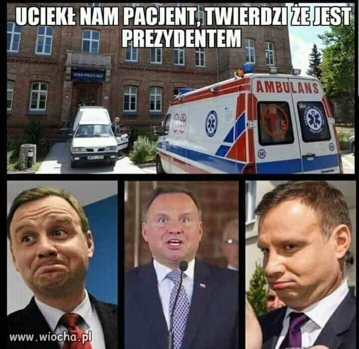 Poszukiwania 