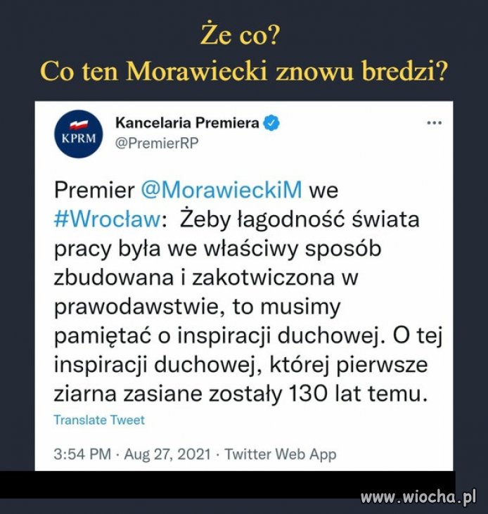 Pinokio odstaw te dopalacze