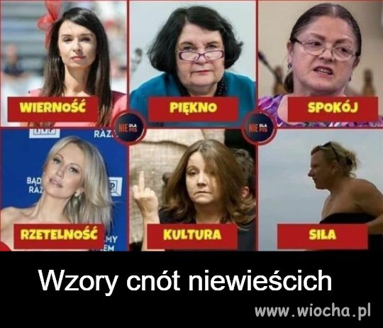 Same cnotki zniewieściałe 