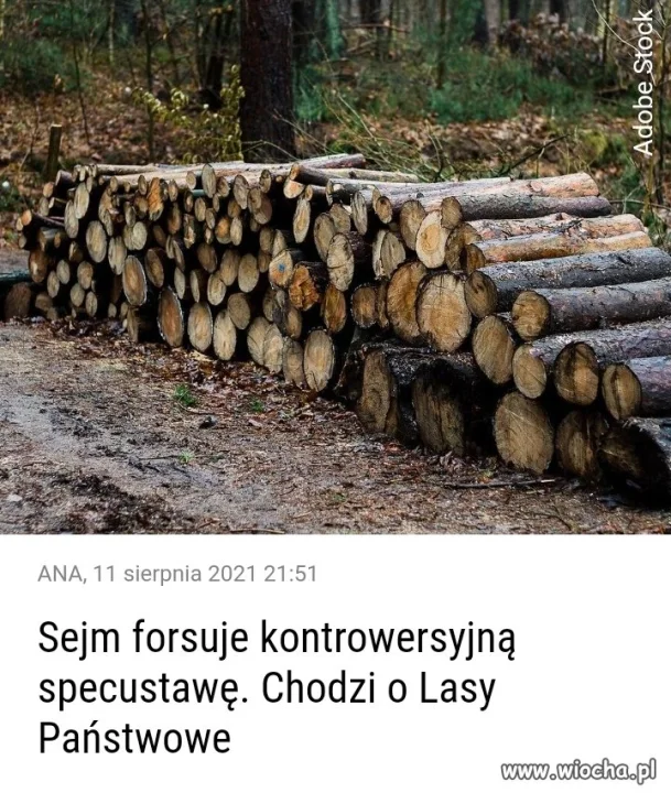 PiS chce wyciąć 270 ha lasów 