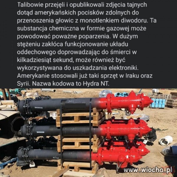 Taka ciekawostka.