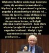 Dokładnie tak.