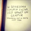 Tylko to tu zostawię