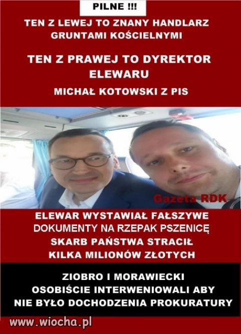 Zorganizowana grupa przestępcza.