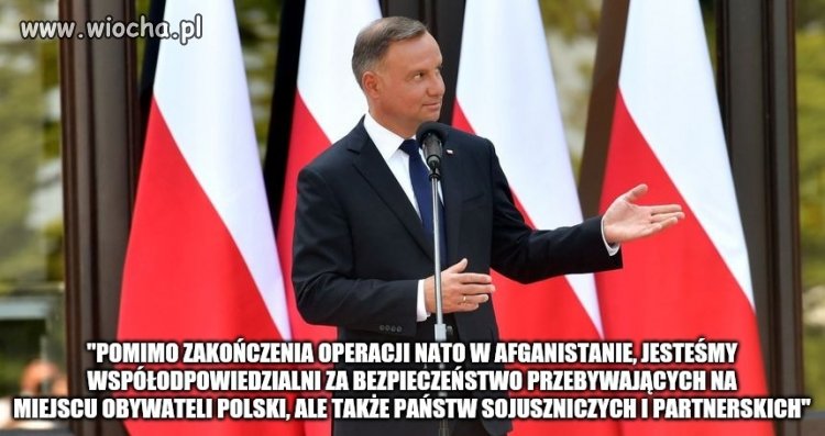 Sojusznicy i partnerzy Polski