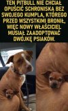 Coś innego niż srajtki -obajtki,pisy-srisy
