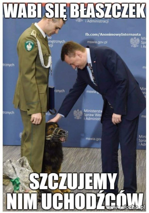 A na drugie ma Irasiad.