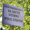 Tytuł niepotrzebny.