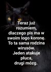 No i wszystko jasne ...
