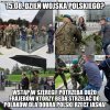 Pis szuka chetnych