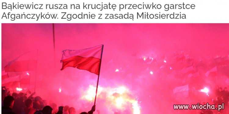 Czemu oni jeszcze na wyprawę krzyżową nie ruszyli