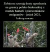 Tak to wygląda