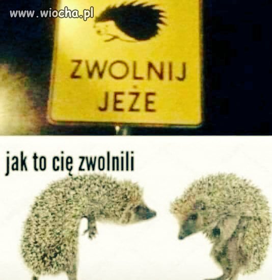 Kryzys! Zaczęły się zwolnienia.