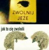 Kryzys! Zaczęły się zwolnienia.