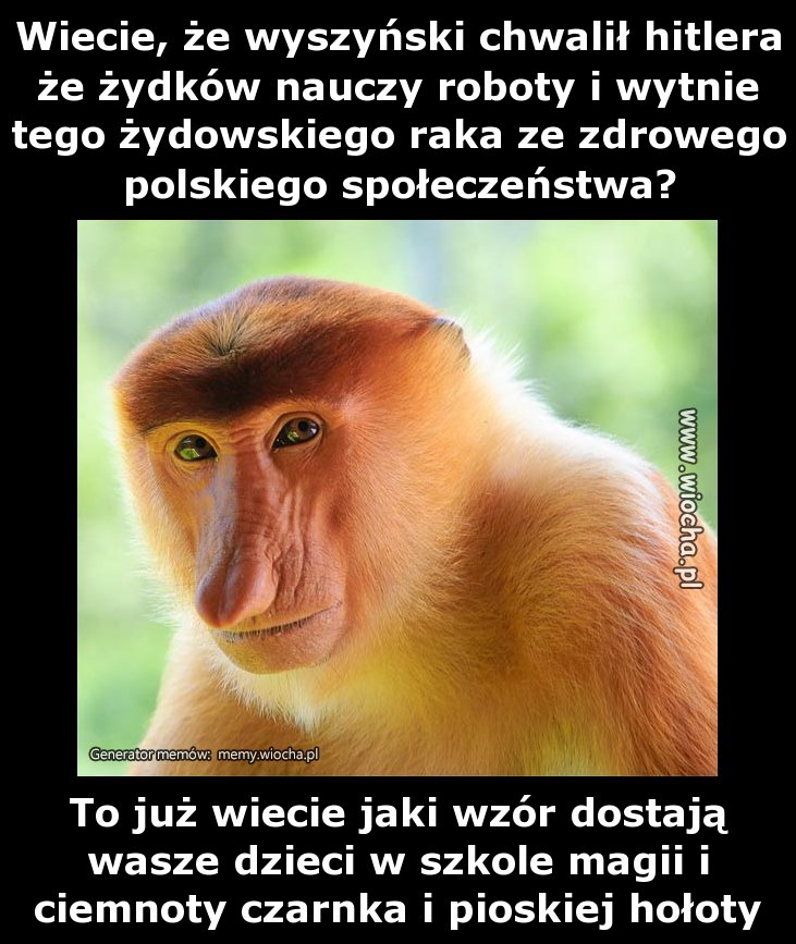 Wiecie, że wyszyński chwalił hitlera że żydków