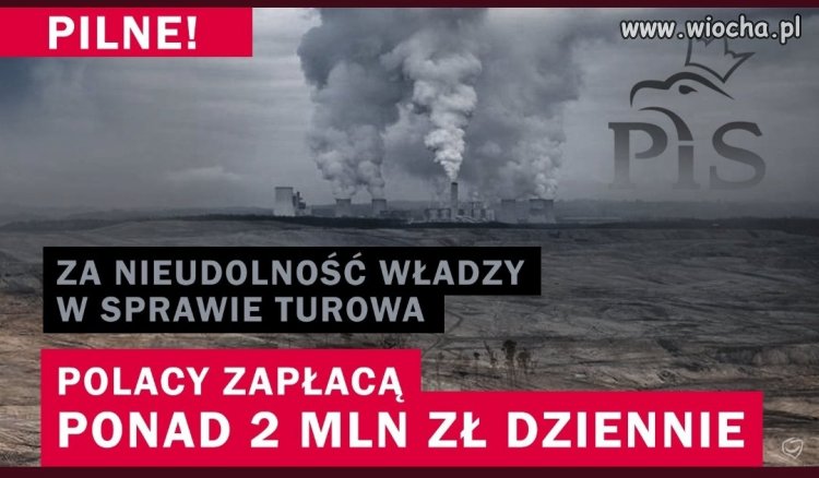 A co?! Stać nas. To tylko jeden sasin miesięcznie...
