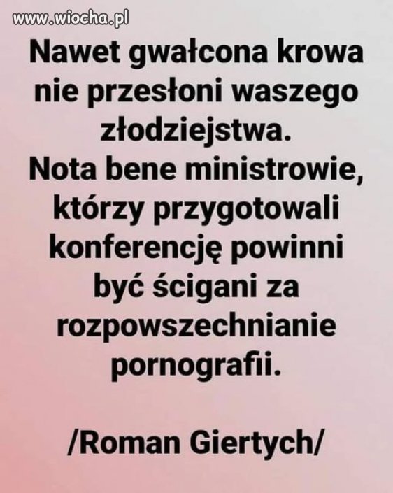 Roman zawsze celnie