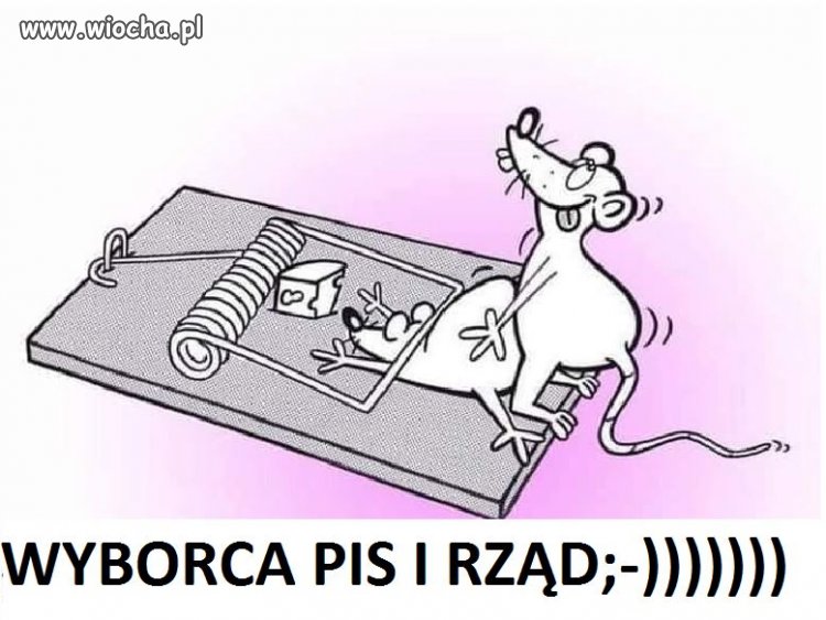Obywatelu! Pamiętaj, że darmowy ser jest tylko ...