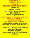 Brawo PiS! Warto było knuć i szczuć?